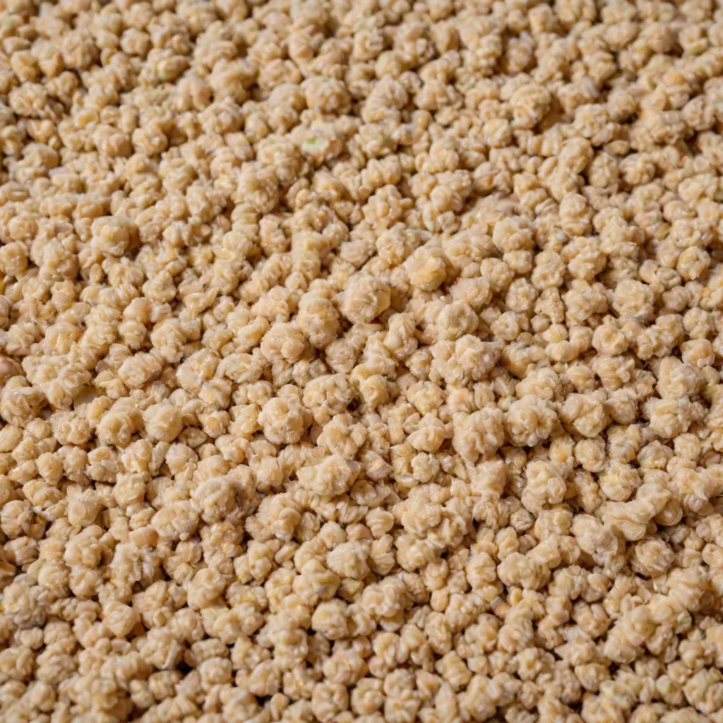 Jak pozbyć się pcheł z domu? Skuteczne porady i środki